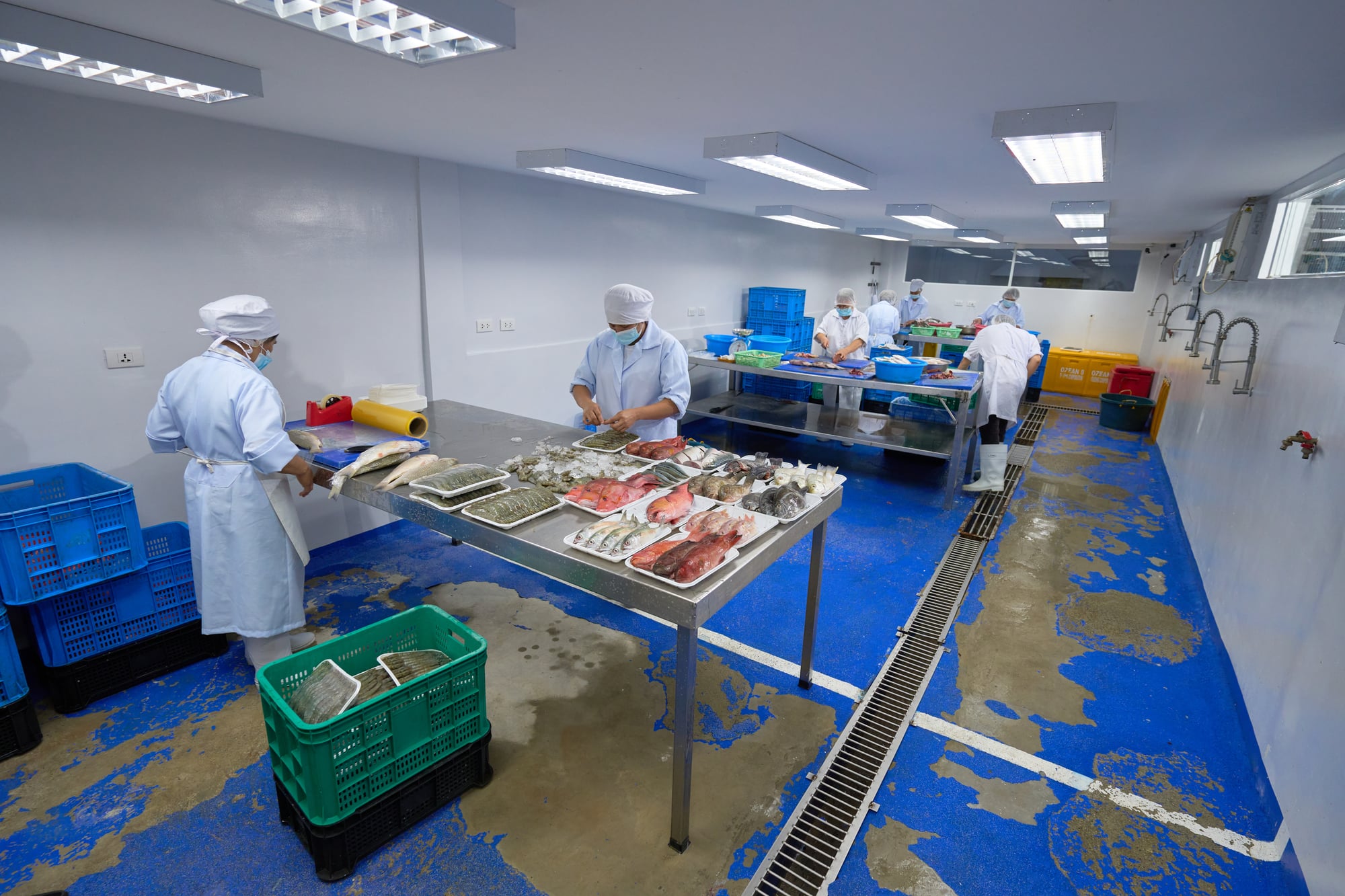 Processing and Preparation