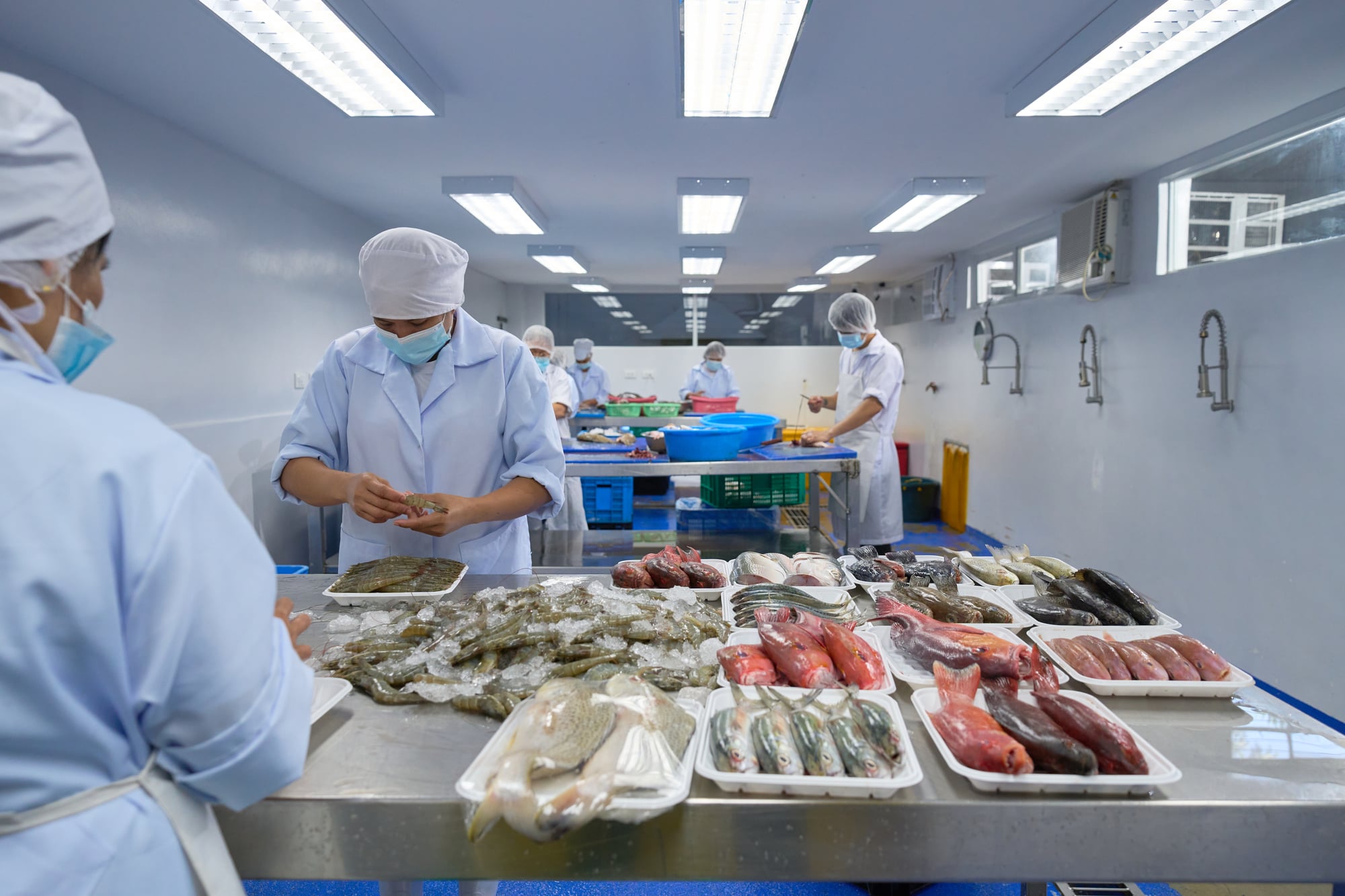 Fresh seafood at market