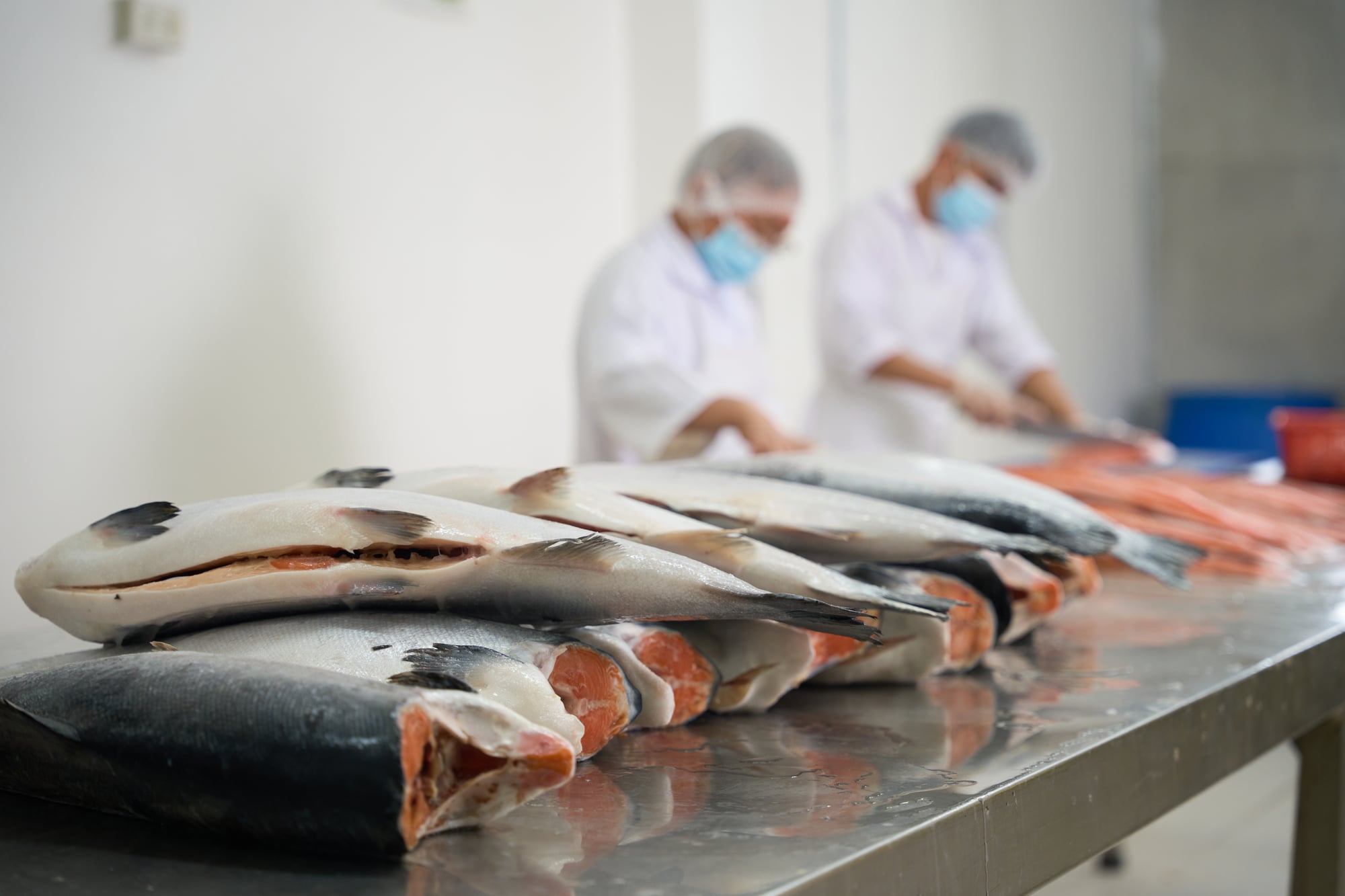 Seafood products 3
