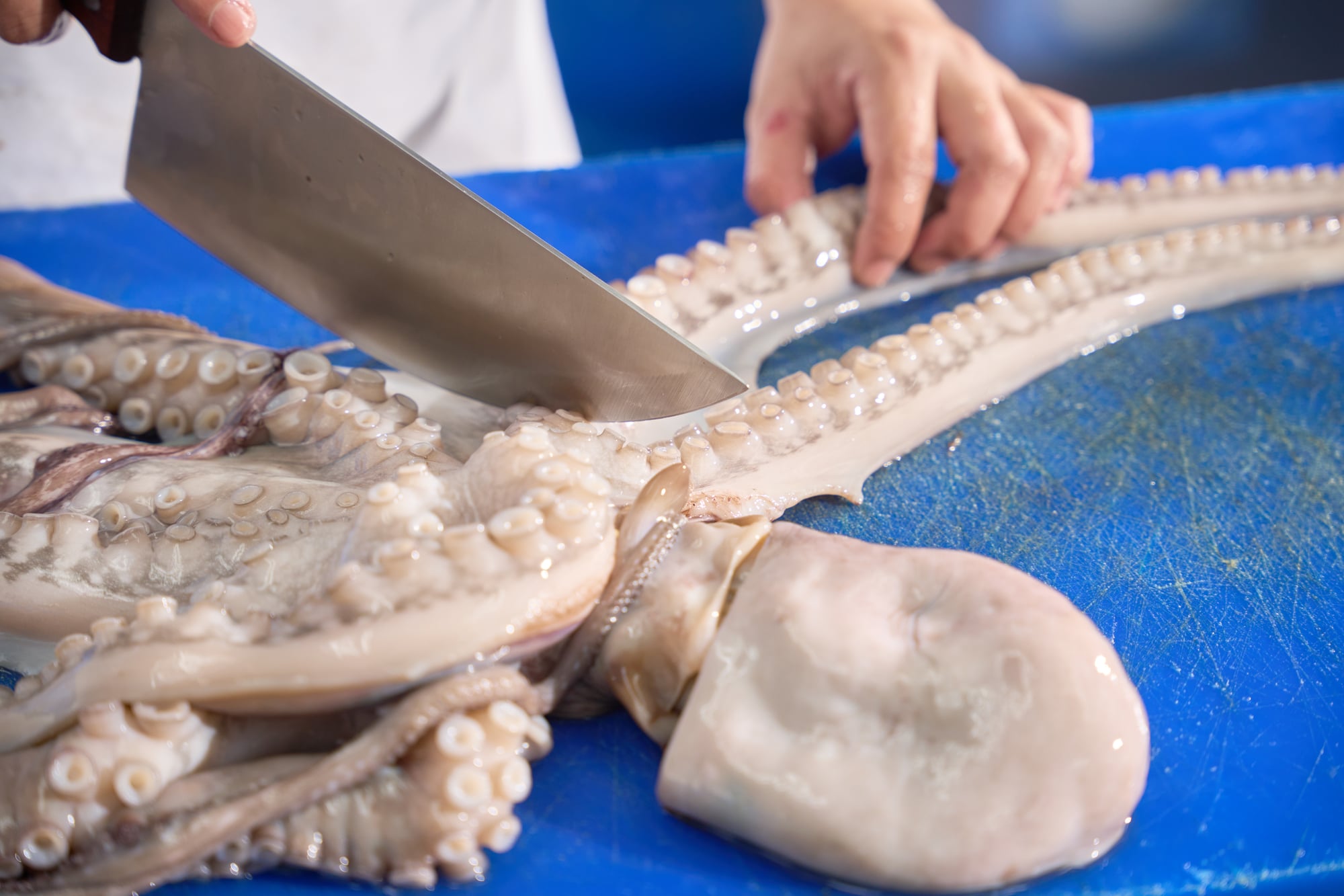 Seafood products 4